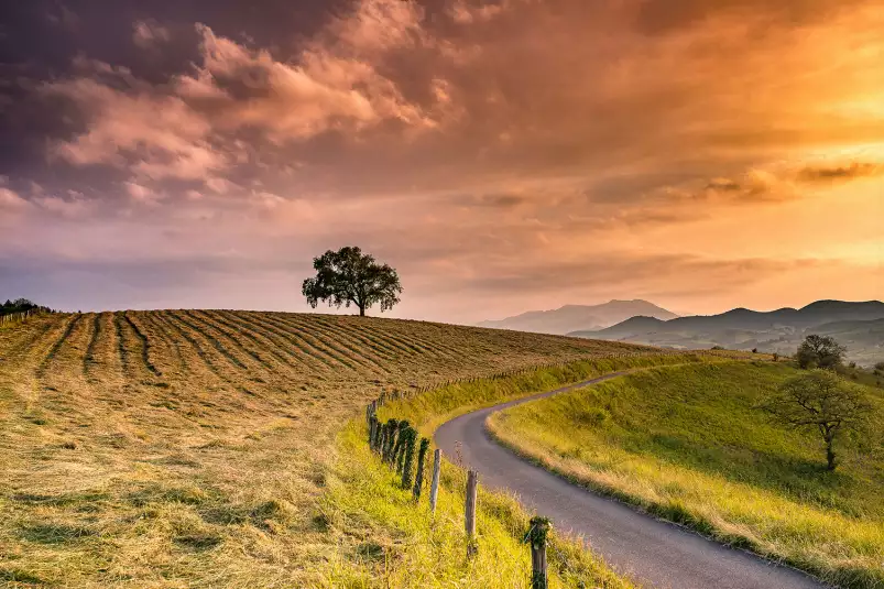 Chemin des basques - tableau paysage nature