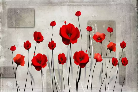 Coquelicots illustrés - tableau design