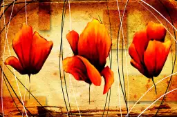 Coquelicots vinties - tableau design