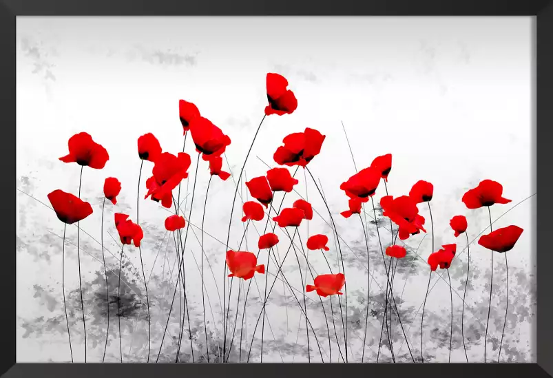 Coquelicots gris - tableau design