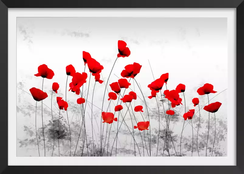 Coquelicots gris - tableau design