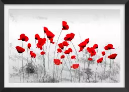 Coquelicots gris - tableau design