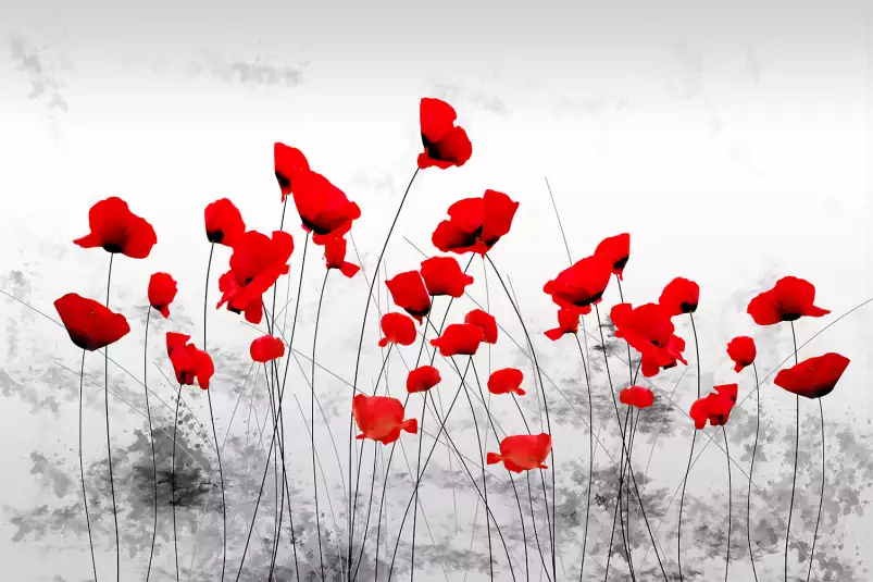 Coquelicots gris - tableau design