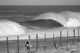 Surf plage landaise - affiche ocean