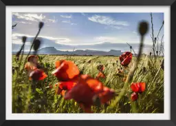 Les bardenas - tableau paysage nature