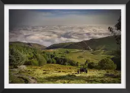 Une vue depuis la rhune - paysage pyrenees