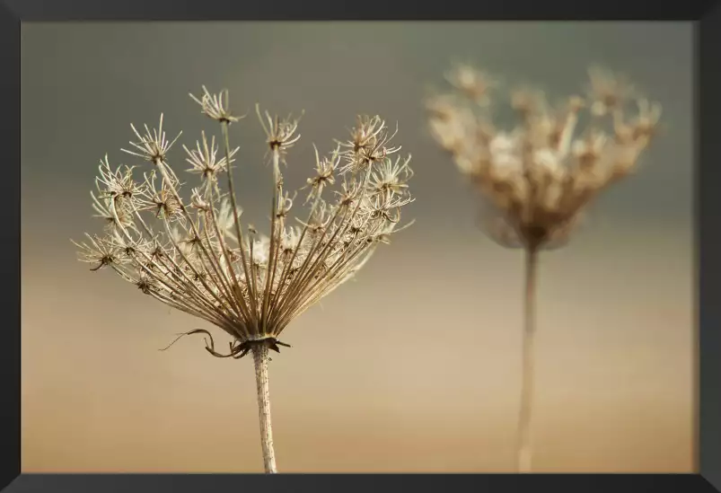 Duo discret - poster plante