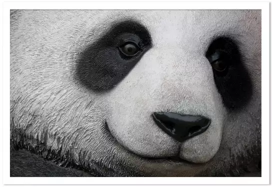 Pandi panda - affiche animaux