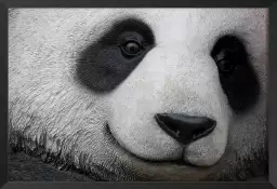 Pandi panda - affiche animaux