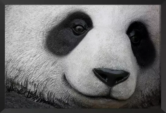 Pandi panda - affiche animaux