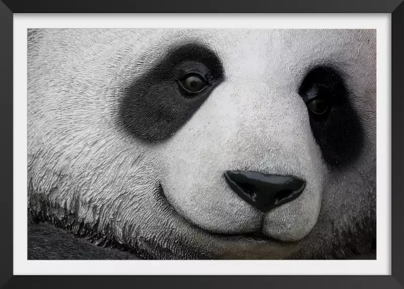 Pandi panda - affiche animaux