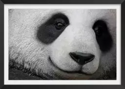 Pandi panda - affiche animaux