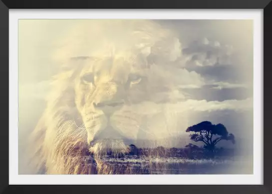 Lion and Mount Kilimanjaro - poster lion