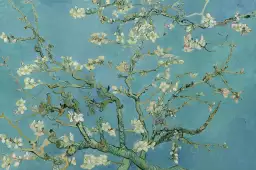 Vincent van gogh, l' amandier en fleurs - tableau celebre