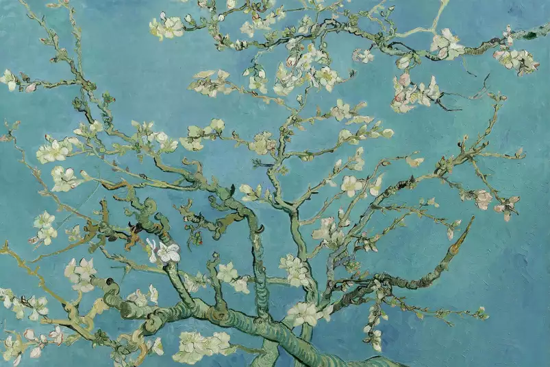 Vincent van gogh, l' amandier en fleurs - tableau celebre