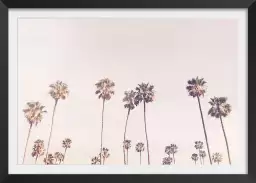 Cali sunny - affiches de palmiers