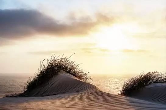 Dune au vent - tableau bord de mer