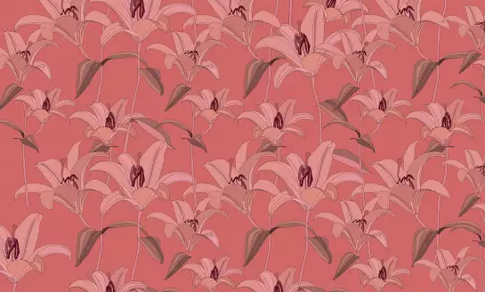 Touch rosy - papier peint fleuri