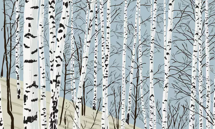 Dessin forêt - papier peint arbres