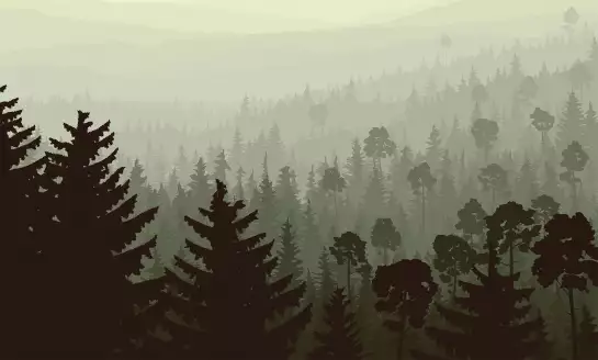 Forêt brume - papier peint panoramique montagne
