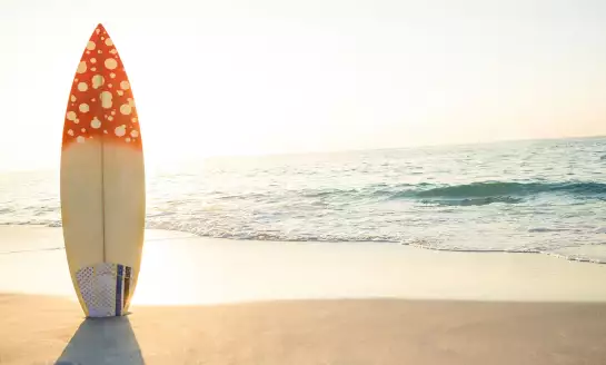 surf beach - papier peint surf