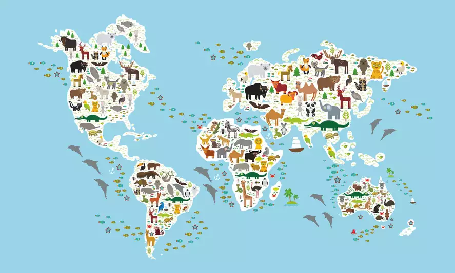 Carte du monde des animaux - papier peint enfant