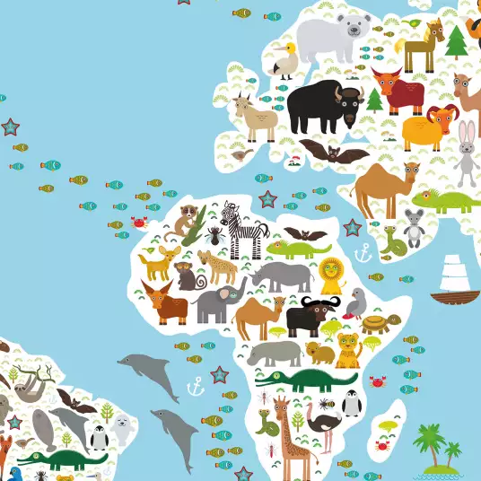 Carte du monde des animaux - papier peint enfant