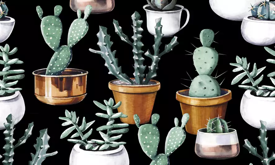 Pots de cactus cuivré - papier peint feuille