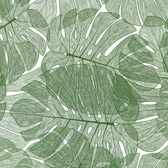 Monstera - papier peint plante