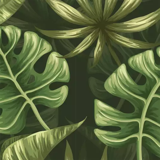Monstera delisioca - papier peint plante