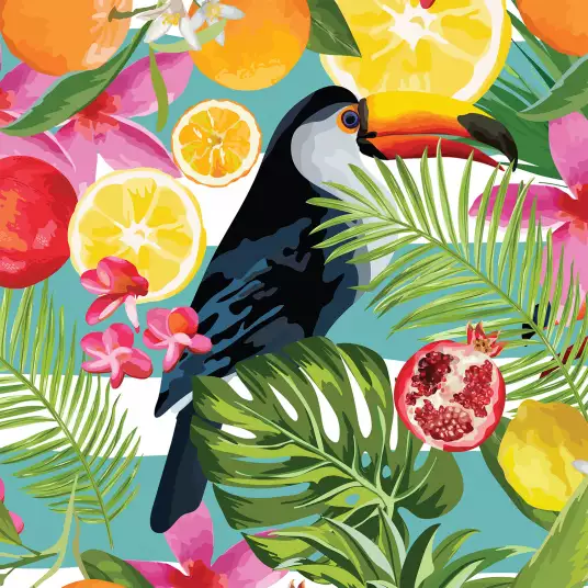 Toucan fruité - papier peint oiseaux