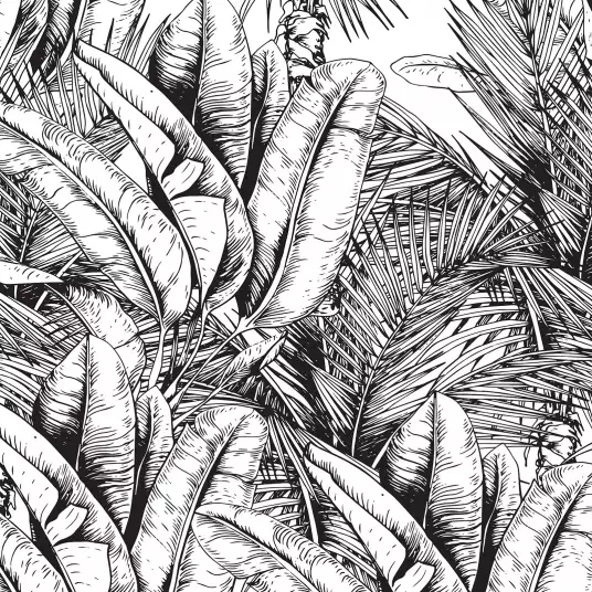 Amazonia forest - Papier peint jungle