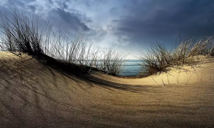 Dunes secretes... - papier peint mer plage