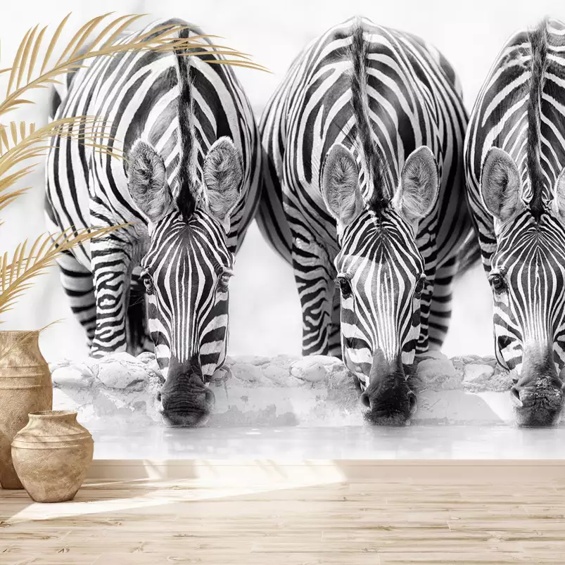 Zebres - papier peint zebre noir et blanc