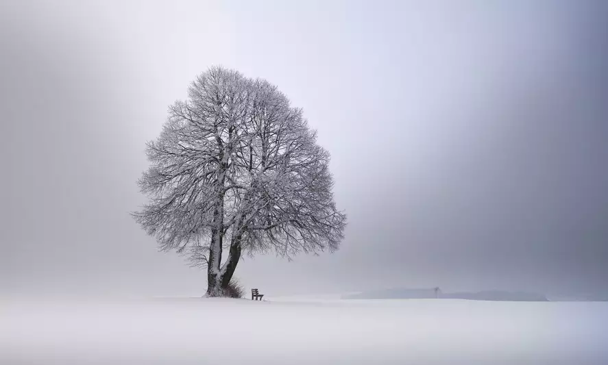 Lumière d' hiver - papier peint paysage