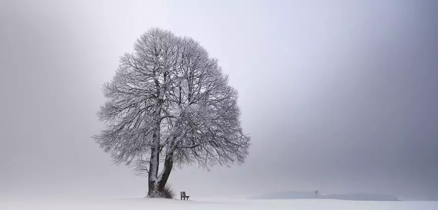 Lumière d' hiver - papier peint paysage