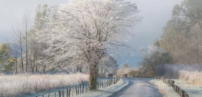 Un matin glacial - papier peint paysage