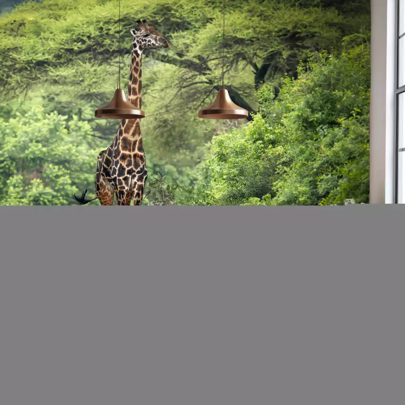 Girafe inattendue - papier peint animaux savane