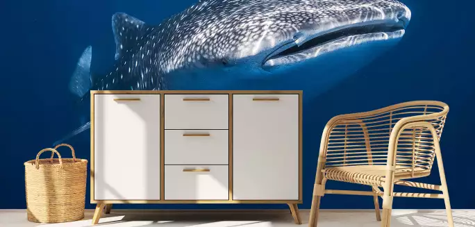 Requin baleine - papier peint requin