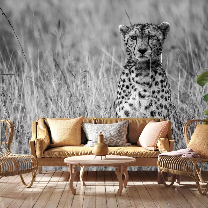 Cheetah - papier peint savane noir et blanc