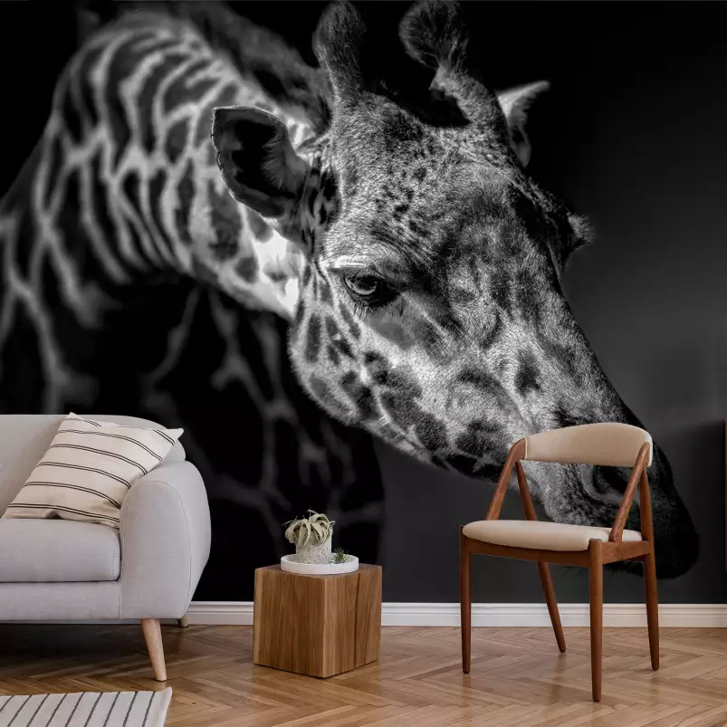 Girafe discrète - papier peint savane noir et blanc