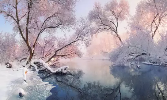 Chrismas lac - papier peint nature