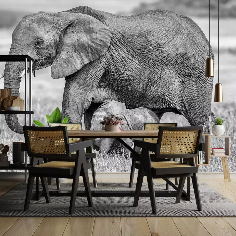 Mère éléphant - papier peint animaux sauvages