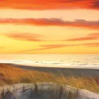 Dune - crédence murale paysage