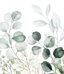 Eucalyptus - fond de hotte decorative