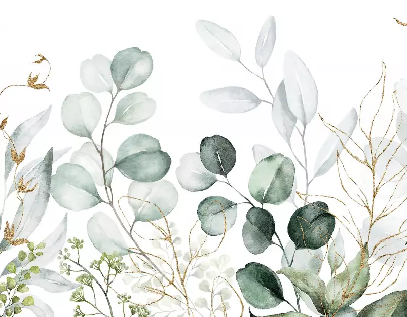 Eucalytus - fond de hotte decorative