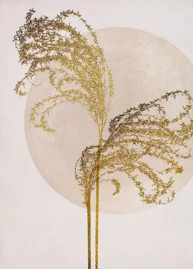 Herbe de lune - papiers peints design