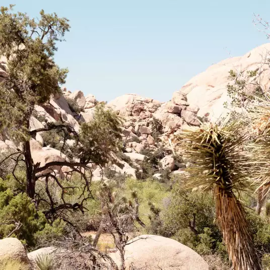 Roche Arizona - papier peint paysage