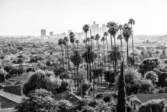 Los Angeles View - papier peint californie