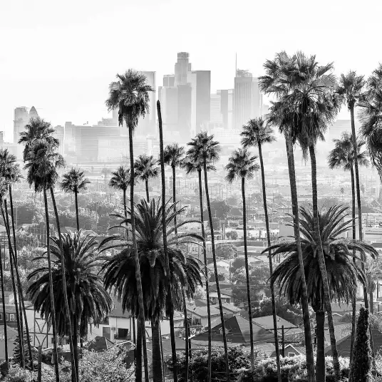 Los Angeles View - papier peint californie